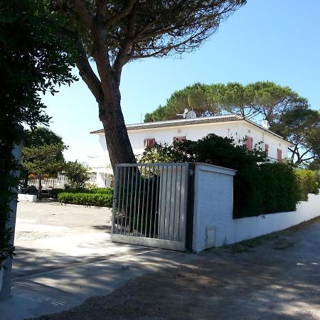 Appartamento In Villa Valentini, Fronte Mare, Giardino E Parcheggio Privato, Wifi, Dotato Di Tutti I Confort, Nel Golfo Di Gaeta ミントゥルノ エクステリア 写真