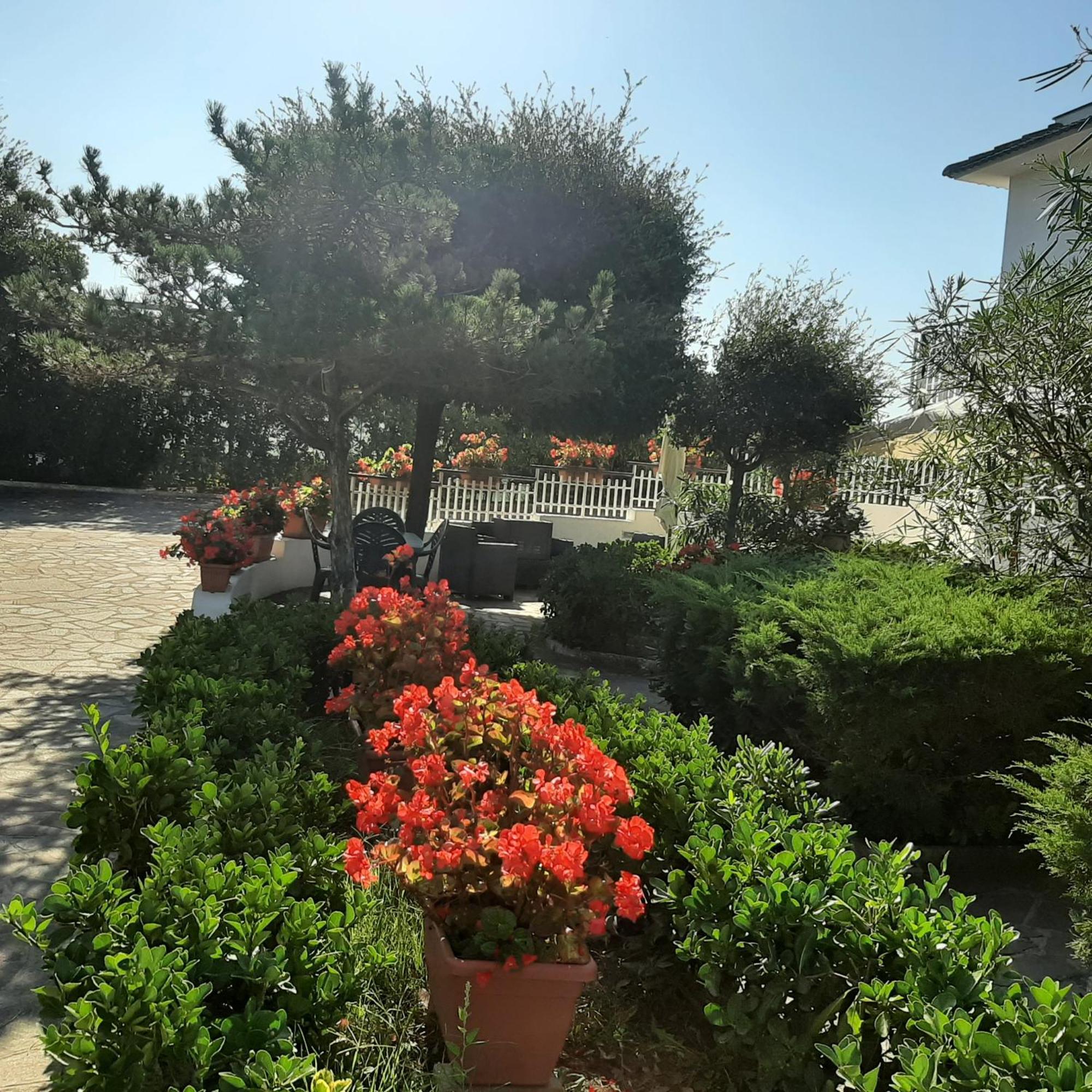 Appartamento In Villa Valentini, Fronte Mare, Giardino E Parcheggio Privato, Wifi, Dotato Di Tutti I Confort, Nel Golfo Di Gaeta ミントゥルノ エクステリア 写真