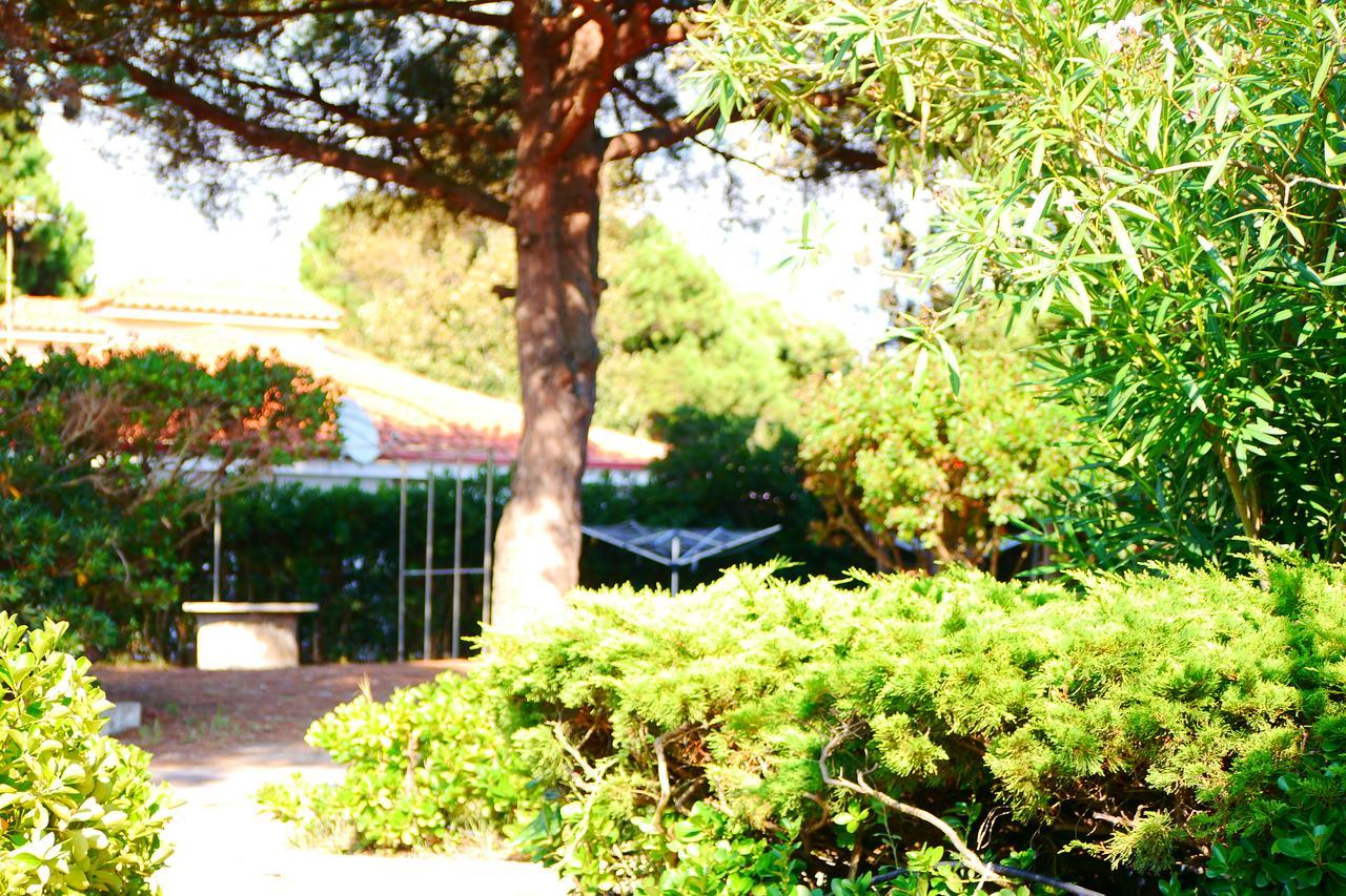 Appartamento In Villa Valentini, Fronte Mare, Giardino E Parcheggio Privato, Wifi, Dotato Di Tutti I Confort, Nel Golfo Di Gaeta ミントゥルノ エクステリア 写真