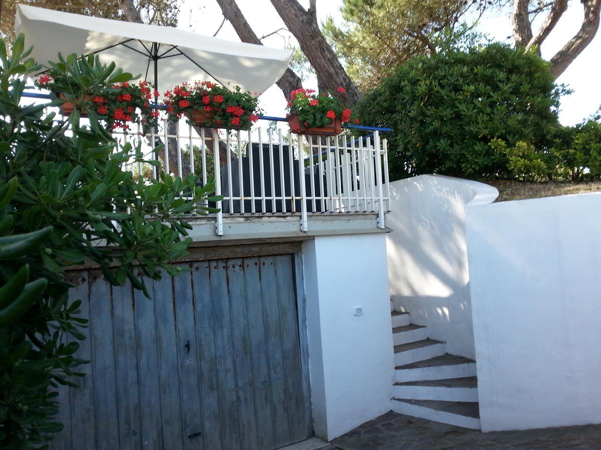 Appartamento In Villa Valentini, Fronte Mare, Giardino E Parcheggio Privato, Wifi, Dotato Di Tutti I Confort, Nel Golfo Di Gaeta ミントゥルノ エクステリア 写真